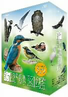 新　野鳥図鑑　DVD−BOX（Blu−ray　Disc）