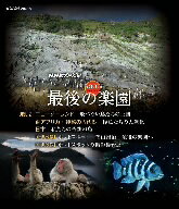 NHKスペシャル　ホットスポット　最後の楽園　Blu−ray−DISC　2（Blu−ray　Disc）／福山雅治