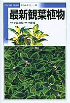 最新観葉植物／小笠原誓【RCPmara1207】 