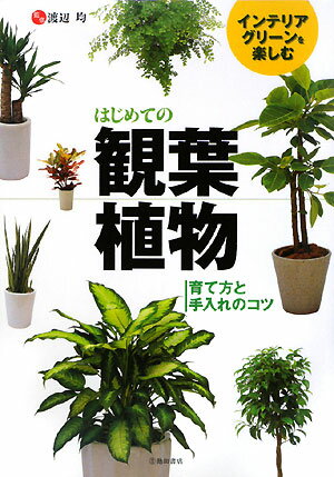 はじめての観葉植物　インテリアグリーンを楽しむ　育て方と手入れのコツ【RCPmara1207】 