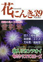 花にんき ナンバー39【2500円以上送料無料】