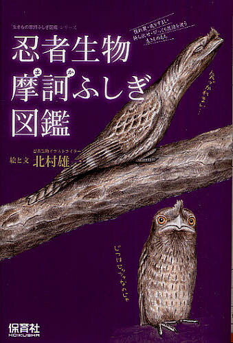 忍者生物摩訶ふしぎ図鑑　隠れ蓑・成りすまし・待ち伏せ・びっくり忍法を使う生きものたち／北村雄一【RCPmara1207】 【マラソン201207_趣味】「生きもの摩訶ふしぎ図鑑」シリーズ