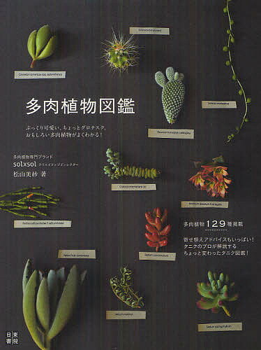 多肉植物図鑑　ぷっくり可愛い、ちょっとグロテスク、おもしろい多肉植物がよくわかる！　多肉植…...:booxstore:10931986