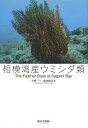 相模湾産ウミシダ類/小郷一三/藤田敏彦【合計3000円以上で送料無料】