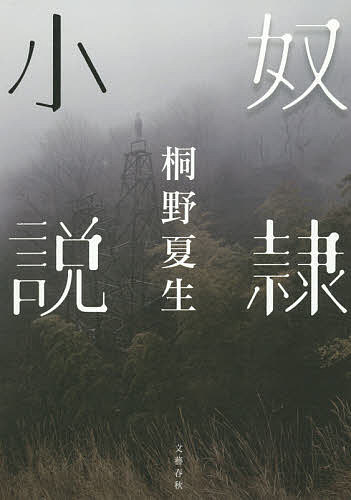 奴隷小説／桐野夏生【2500円以上送料無料】...:booxstore:11445572