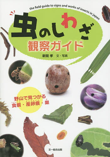 【100円クーポン配布中！】虫のしわざ観察ガイド　野山で見つかる食痕・産卵痕・巣／新開孝