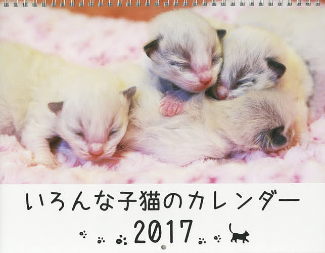 ’17　いろんな子猫のカレンダー／Reimon【2500円以上送料無料】
