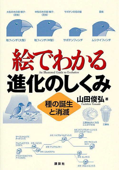 【店内全品6倍！】絵でわかる進化のしくみ　種の誕生と消滅／山田俊弘