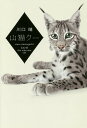 山猫クー/川口晴