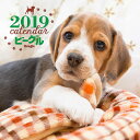 【店内全品5倍】カレンダー ’19 ビーグル/平林美紀【3000円以上送料無料】