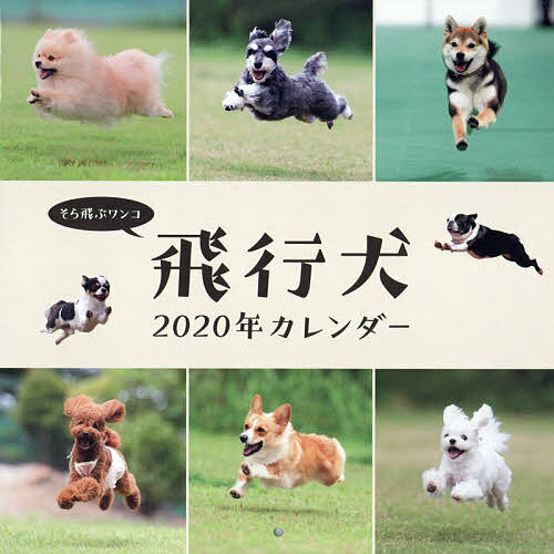 https://thumbnail.image.rakuten.co.jp/@0_mall/booxstore/cabinet/00986/bk4895313832.jpg?_ex=500x500