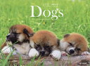 カレンダー ’22 Dogs/増田勝正【3000円以上送料無料】