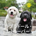 カレンダー ’23 ラブラドール・レトリ/井川俊彦【3000円以上送料無料】