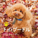 カレンダー ’23 トイ・プードル/平林美紀【3000円以上送料無料】