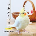 カレンダー ’23 オカメインコ／蜂巣／香【3000円以上送料無料】