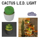 【クーポンでさらに値引き】 CACTUS L.E.D. LI...