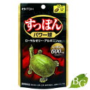 井藤漢方 すっぽんパワー球 60粒