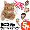 送料無料 !( メー...