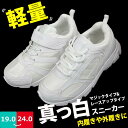 【あす楽】【送料無料】 ジュニア 真っ白スニーカー P.B.BRIDGE P.B.ブリッジ コウセキ 【JR6252-6310】 JR6252 JR6310 男の子 女の子 マジックベルト レースアップ 軽量 屈曲性 滑り止め 内履き 外履き 通学 体育 □jr6252-6310□ まるほ