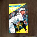 阪神タイガース 藪恵壹 テレホンカード 50度 テレカ【未使用品】【中古】
