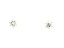 ジュエリー ダイヤモンド ピアス ノーブランドジュエリー レディース PT900 プラチナ x ダイヤモンド(0.15ct*2)