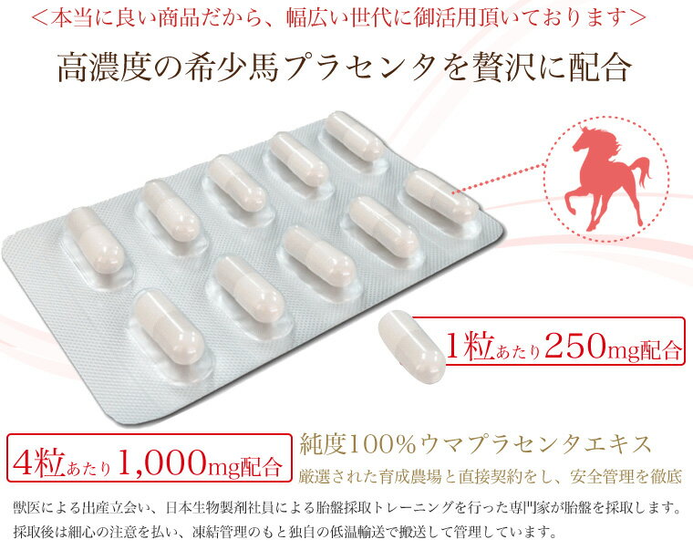 【送料無料!】 20カプセル 医療用医薬品メーカー製造 希少ウマプラセンタ サプリメント JBPプラセンタ EQ カプセル 10P×2シート 20P/箱 5日分　【信頼の医療用医薬品メーカー日本生物製剤社製 JBP ポーサイン100】【RCP】