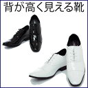 【レンタルシューズ】007靴を履くだけで7センチ身長アップサイズ/24.5cm(黒のみ)/25cm/25.5cm/26cm/26.5cm【往復送料無料】〔結婚式〕〔パーティ〕〔二次会〕〔貸衣装〕〔新郎タキシード〕〔レンタル靴〕〔タキシード靴レンタル〕