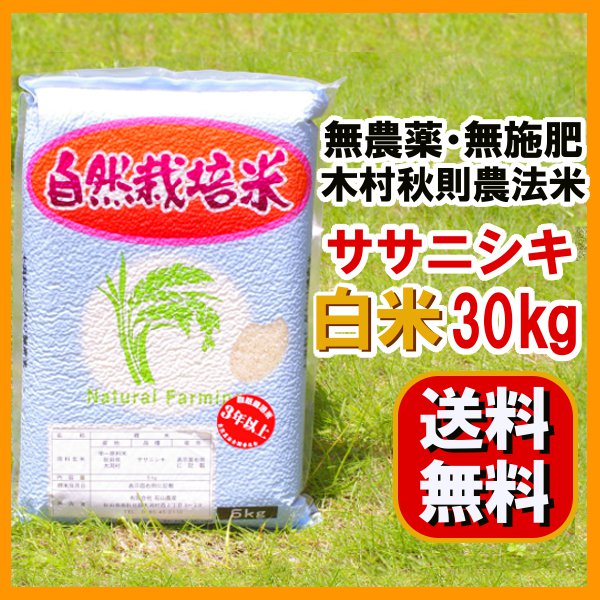 無農薬 白米 30kg[5kg袋×6]送料無料「木村農法米ササニシキ」生産： 石山農産（石山範夫 秋田県大潟村） 無農薬 自然栽培米 オーガニック・有機栽培 志向のお客様へ