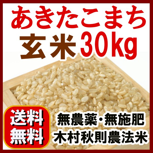 無農薬 あきたこまち 玄米　30kg 　[5kg袋×6]　【送料無料】生産： 石山農産（石山範夫 大潟村産）自然栽培「木村秋則農法米あきたこまち」オーガニック・有機栽培　有機玄米 志向のお客様へ/楽天/米/真空/特別栽培米【SBZcou1208】