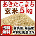 無農薬 あきたこまち 玄米 5kg 【送料無料】生産: 石山農産(石山範夫 大潟村産)自然栽培 無肥料・無農薬/奇跡のリンゴで有名な「木村秋則農法米あきたこまち」有機玄米 志向のお客様へ/楽天/無農薬玄米/米/自然栽培米/ブリジット商店 【RCP】