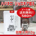 【メール便送料無料】激辛 シーハー(詰替用)12g【激辛 とうがらし 唐辛子 国産 石垣産】【激辛マニア】【激辛スパイス】【激辛 調味料】