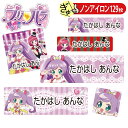 お名前シール プリパラ キャラ ノンアイロン タグ用 布用 洗濯OK アイロン不要 服 送料無料 PR入園 入学 キャラクター ローマ字 ひらがな 幼稚園 保育園 楽天 子供 ネームシール 名前しーる ブランド おしゃれな印刷