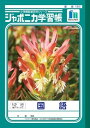 ジャポニカ学習帳 国語 18マス 12行 縦リーダー入り JL-11