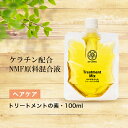 【5日限定 エントリーで最大ポイント22倍】トリートメントの素 ・100ml 髪の NMF 原料混合液 ケラチン 配合 トリートメントのもと 送料無料