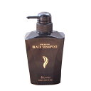 頭皮ケア &GINO プレミアム ブラックシャンプー 400ml