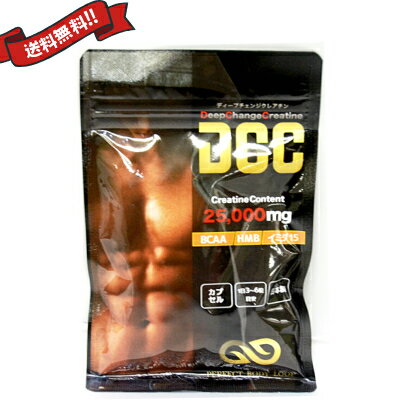 【エントリーでポイント4倍】【送料無料】 DCC