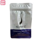 スリミット SLIMIT 12粒 ターミナリア イヌリン 乳酸菌 ラクリス菌 送料無料