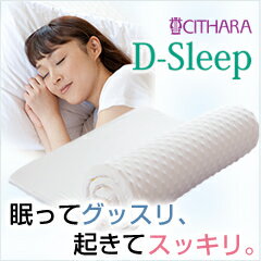 【送料無料】D-SleepSサイズ4×97×193cm【専用バッグ付】