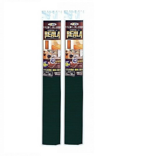 アサヒペン REALA 45CMX15M RL−S15−6 2本セット