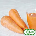 [有機栽培] ジュース用ふぞろいにんじん (3kg)　無農薬/検品済み/有機JAS/あす楽