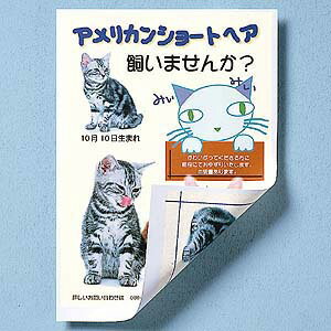 インクジェット用両面印刷紙(B5)JP-RV30B5 【TC】[サンワサプライ]セール