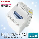 シャープ〔SHARP〕タテ型洗濯乾燥機　洗濯5.5kg　乾燥3.0kg　ES-TG55L-A　A（ブルー系）【TC】