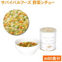 【保存期限25年間!】 サバイバルフーズ 野菜シチュー 単品×6缶 (大)〔保存食 備蓄 非常食 防災 防災食 25年間 サバイバルフーズ25 1号缶 #10〕【D】【KB】