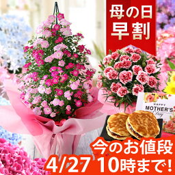 【10年連続総合1位】【早割実施中！】母の日 プレゼント <strong>花</strong> ギフト <strong>鉢</strong>植え アジサイ アレンジ アレンジメント スタンディングブーケ <strong>花</strong>束 カーネーション 楽天総合1位 送料無料 メッセージカード付き ははの日 イベントギフトA 2024 BunBun!Bee