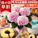 【6種の有名スイーツから選べるセット】【早割実施中！】母の日 プレゼント 花 ギフト 花とスイーツ セット 鉢植え アジサイ バラ お菓子 キハチ 虎屋本舗 文明堂 なだ万 くまモナカ堂 送料無料 メッセージカード付き ははの日 イベントギフトL 2024 BunBun!Bee