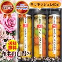 果実の宝石箱 フルーツコンポート3本セット 内祝い【御歳暮】【楽ギフ_のし宛書】【楽ギフ_メッセ入力】楽天ランキング1位獲得!送料無料ゼリースイーツ【あす楽対応商品】