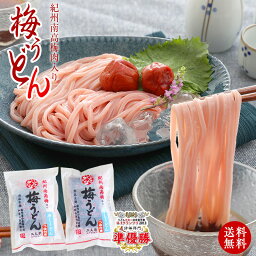 【今だけ1410円→1299円】 送料無料 プチギフト ご自宅用に紀州梅<strong>うどん</strong> 4食めんつゆ付冷やし<strong>うどん</strong>、かけ<strong>うどん</strong>が選べる国産小麦使用の冷し<strong>うどん</strong>【食品ランキング1位獲得】SNS 話題<strong>うどん</strong>日本一決定戦全国二位！ お試し ネコポス