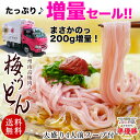 今だけ!超増量セール♪紀州冷し梅うどん 4食めんつゆ付冷やしうどん、かけうどんが選