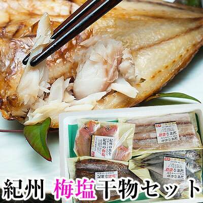 梅塩使用の紀州の干物！4種9枚セット【送料無料 ※一部地域除く】（太刀魚2匹、あじ3匹、さ…...:bundara:10001928