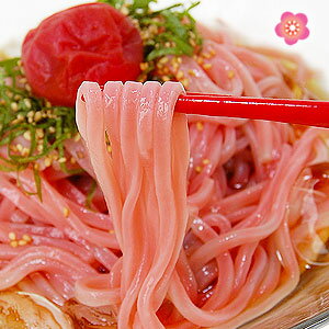 【送料無料】大盛丸ざる冷し梅うどん5食セット【32％OFF！】 ざるうどん 麺 ランキング 1位 獲得！テレビ メディアでも人気のざる うどん お中元 贈り物 ギフト 母の日にも！冷し うどん 和歌山 梅 うどん